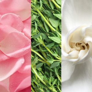 Facial Spray Aloe/Herbs/Rose 118ml