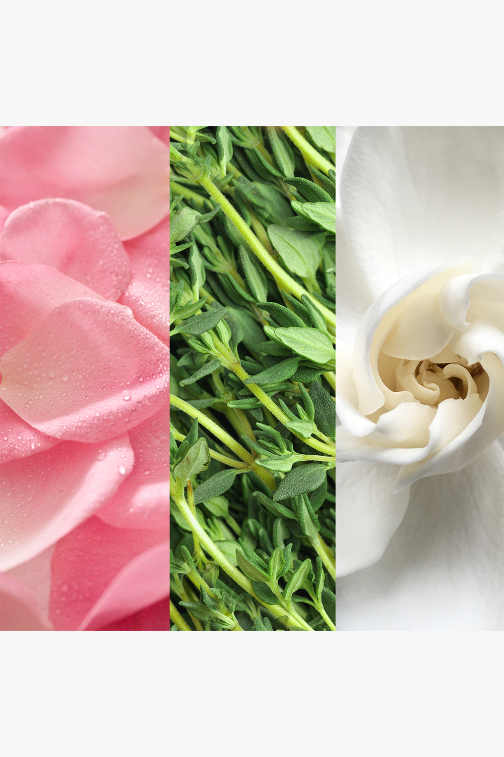 Facial Spray Aloe/Herbs/Rose 118ml - Image 2