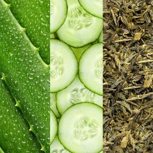 Facial Spray with Aloe Cucumber & Greentea 59ml