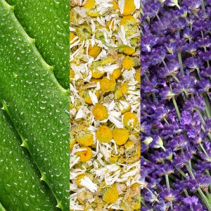 Facial Spray with Aloe Chamo & Lavender 59ml