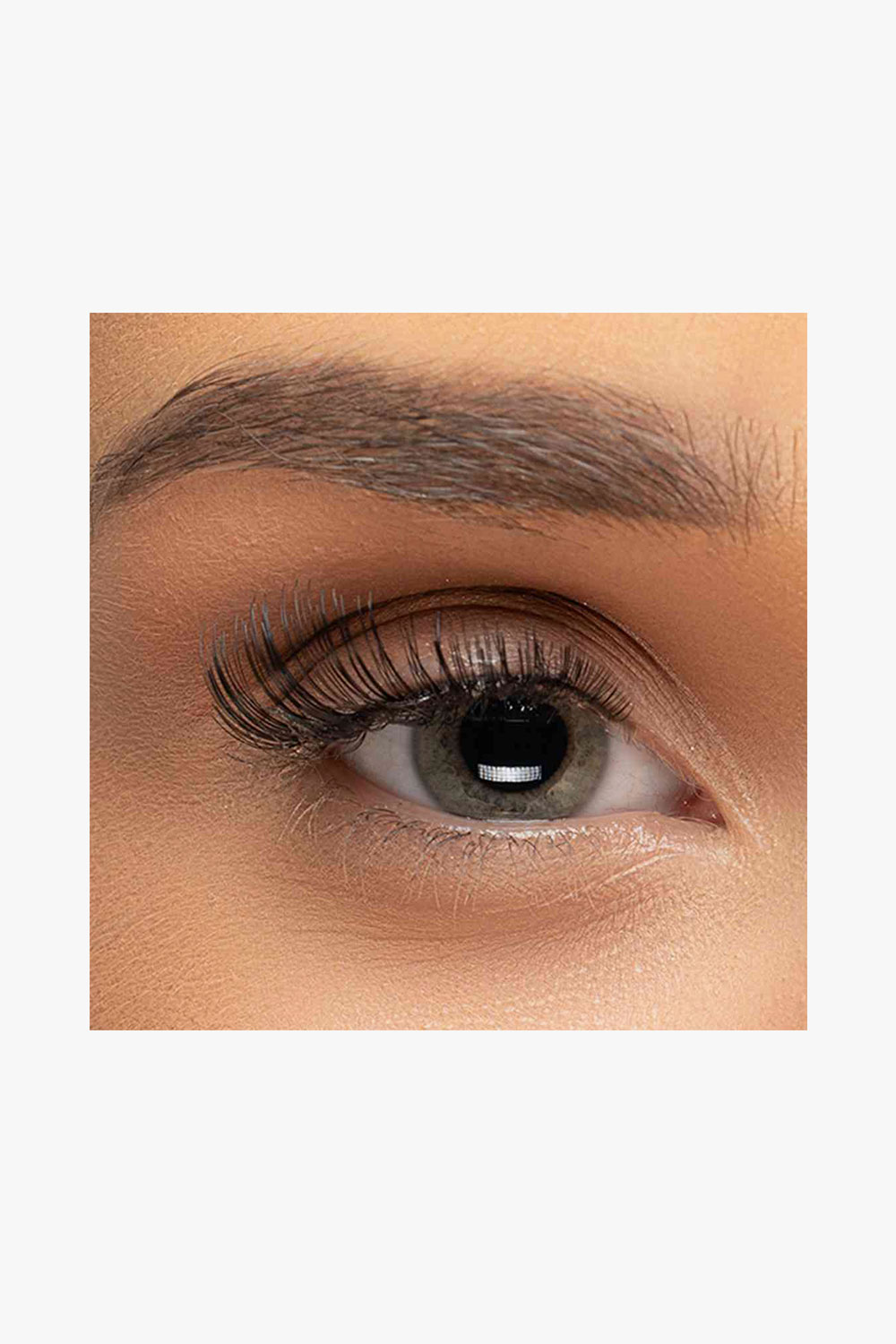 Lash - Loungin' - Image 2