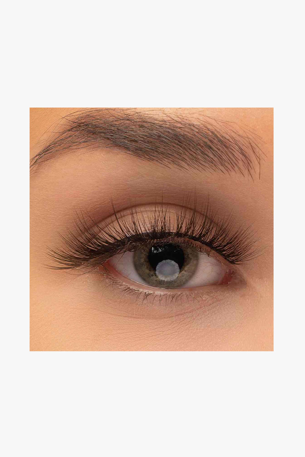 Lash - Date Night - Image 2