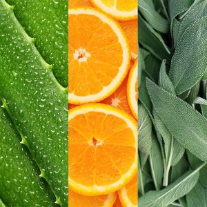 Facial Spray Aloe/Sage/Orange Blossom 118ml