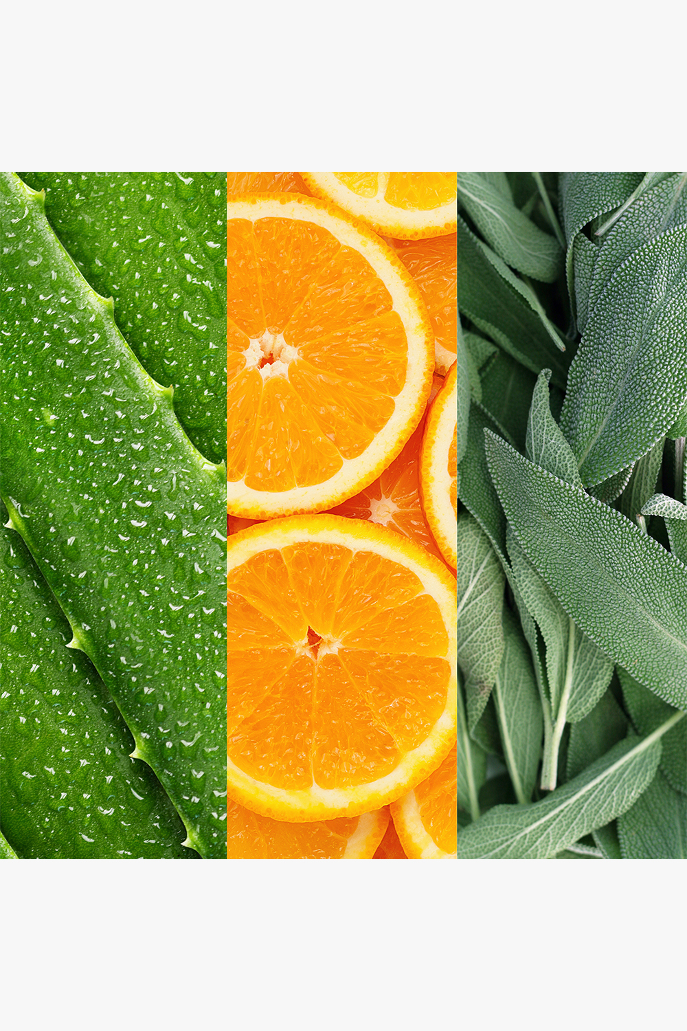 Facial Spray Aloe/Sage/Orange Blossom 118ml - Image 2